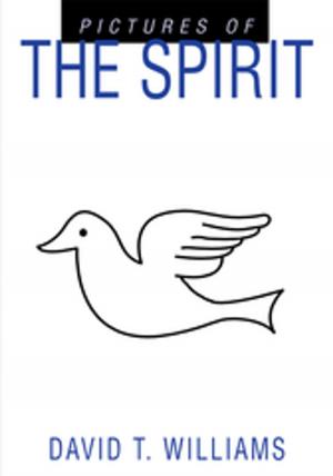 Cover of the book Pictures of the Spirit by Colby Chase