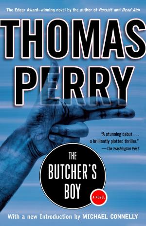 Book cover of The Butcher's Boy