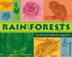 Cover of the book Rainforests by Leo Bruce