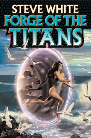 Cover of the book Forge of the Titans by Sharon Lee