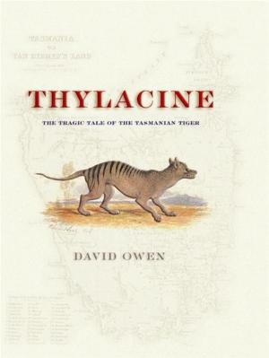Cover of the book Thylacine by Jack Brand, Tom Jellett