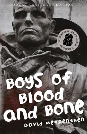 Cover of the book Boys of Blood and Bone by Sue Saliba