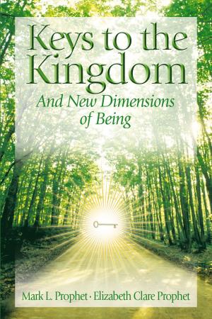 bigCover of the book Keys to the Kingdom by 