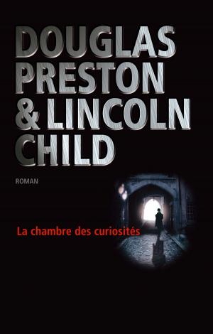 Cover of the book La chambre des curiosités by Luc Mary