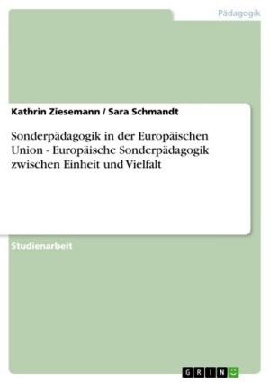 bigCover of the book Sonderpädagogik in der Europäischen Union - Europäische Sonderpädagogik zwischen Einheit und Vielfalt by 