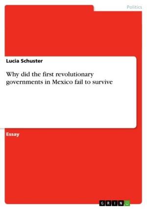 Cover of the book Why did the first revolutionary governments in Mexico fail to survive by Wolfgang Ruttkowski