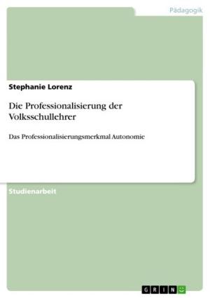 Cover of the book Die Professionalisierung der Volksschullehrer by Nadine Richters