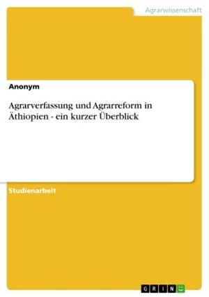 Cover of the book Agrarverfassung und Agrarreform in Äthiopien - ein kurzer Überblick by Fabian Metz