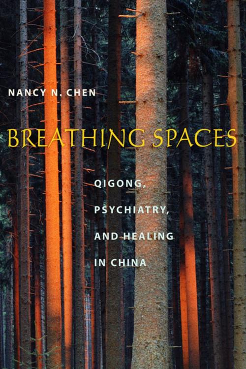 Cover of the book Breathing Spaces by Nancy Chen, Columbia University Press