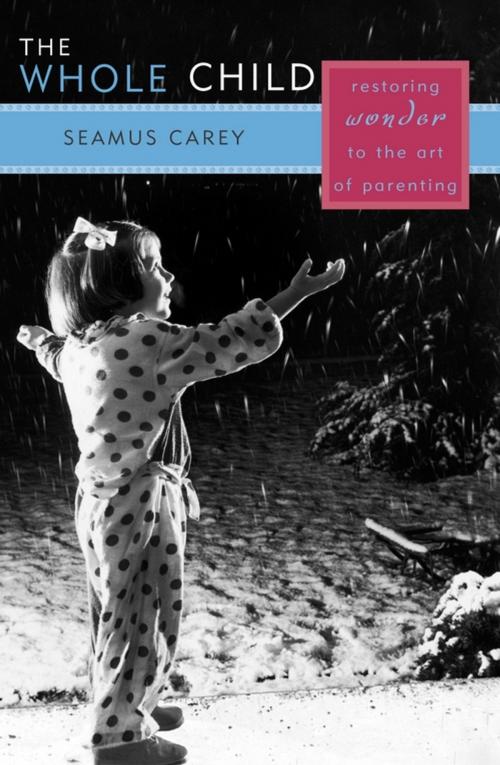 Cover of the book The Whole Child by Seamus Carey, Rowman & Littlefield Publishers