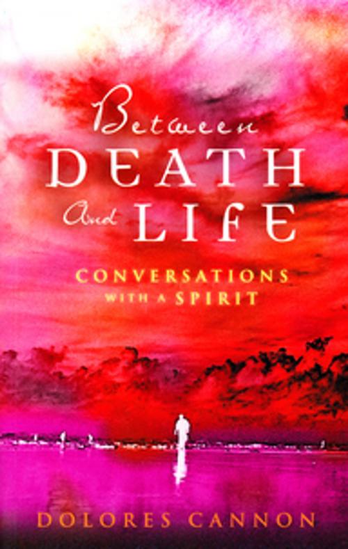 Cover of the book Between Death and Life – Conversations with a Spirit by Dolores Cannon, Gill Books