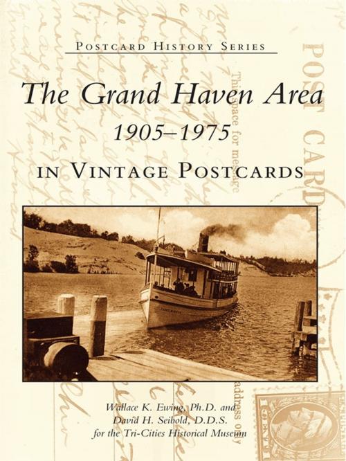 Cover of the book The Grand Haven Area 1905-1975 in Vintage Postcards by Wallace K. Ewing Ph.D., David H. Seibold D.D.S., Tri-Cities Historical Museum, Arcadia Publishing Inc.