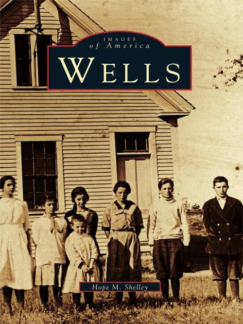 Cover of the book Wells by Hope M. Shelley, Arcadia Publishing Inc.