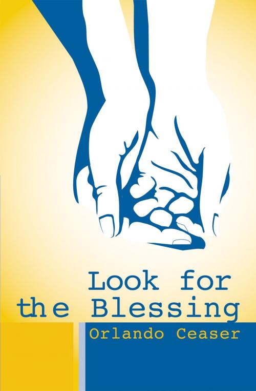 Cover of the book Look For the Blessing by Orlando Ceaser, Essence Publishing