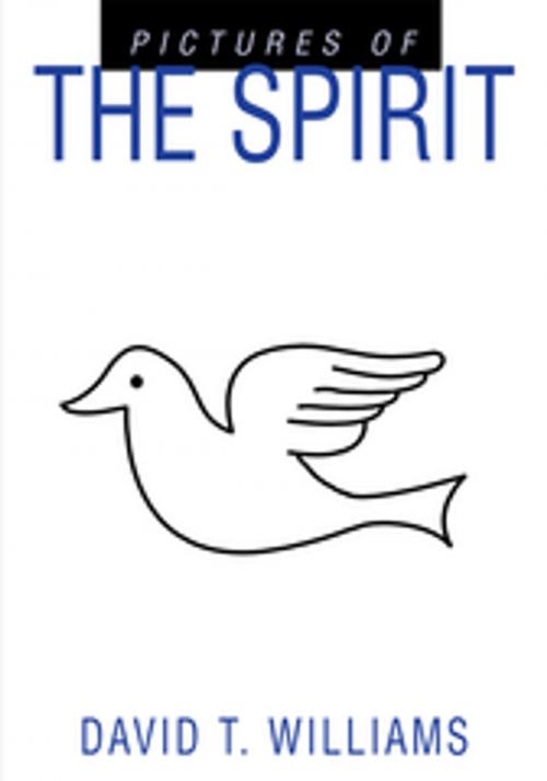 Cover of the book Pictures of the Spirit by David T. Williams, iUniverse
