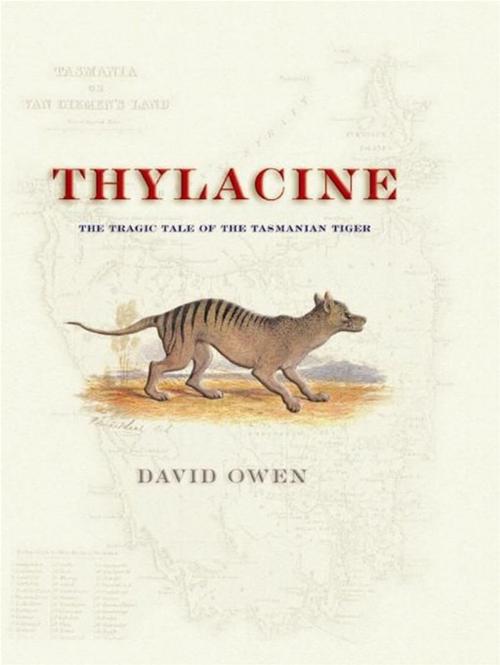 Cover of the book Thylacine by David Owen, Allen & Unwin