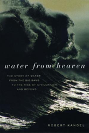 Cover of the book Water from Heaven by Enzo Traverso