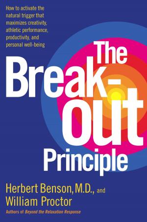 Cover of the book The Breakout Principle by Stephen King