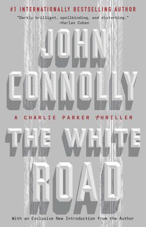 Cover of the book The White Road by Gordon Hempton, John Grossmann