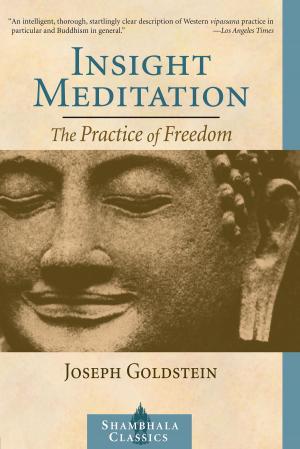 Book cover of Insight Meditation