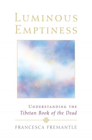 Cover of the book Luminous Emptiness by Shaun McNiff