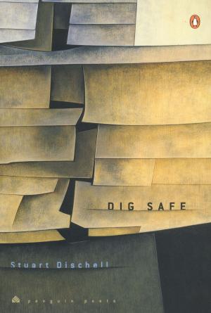 Cover of the book Dig Safe by Darren Stewart-Jones