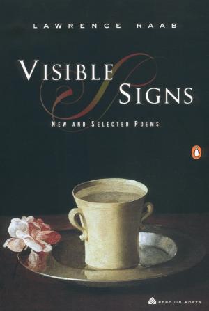 Cover of the book Visible Signs by Jesse Hayworth
