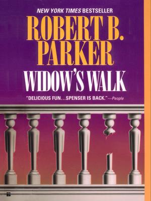 Cover of the book Widow's Walk by Elizabeth Lynn Casey