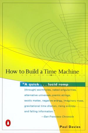 Cover of the book How to Build a Time Machine by Elizabeth Thornton