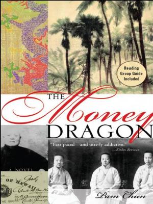 Book cover of The Money Dragon