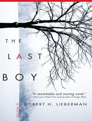 Cover of the book The Last Boy by MarcyKate Connolly