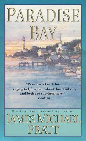 Cover of the book Paradise Bay by Peter von Ziegesar