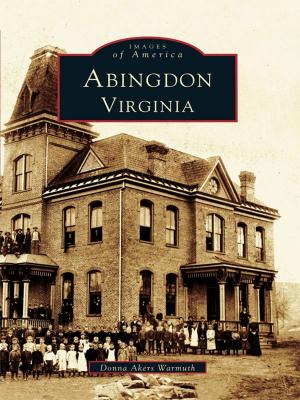 Cover of the book Abingdon, Virginia by Jeff Benziger