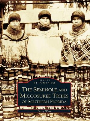 Cover of the book The Seminole and Miccosukee Tribes of Southern Florida by Bob Withers