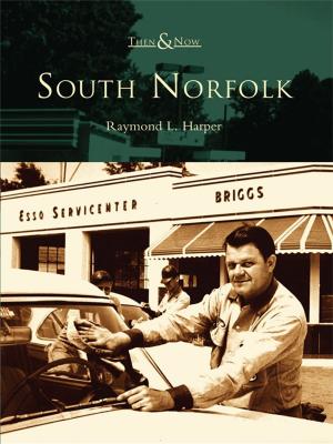Cover of the book South Norfolk by Ian Taylor
