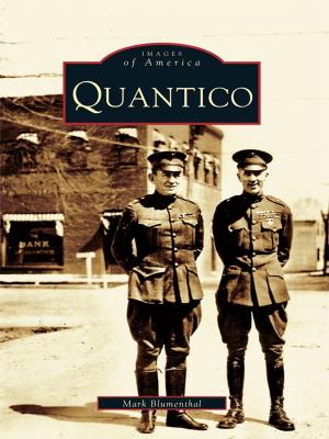 Cover of the book Quantico by Stu Card, Donald Card