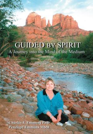 Book cover of Guided by Spirit