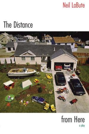 Cover of the book The Distance from Here by Ian James Ross
