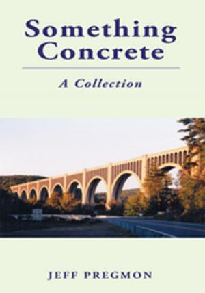 Cover of the book Something Concrete by Katy Green