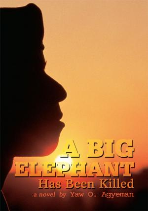 Cover of the book A Big Elephant Has Been Killed by PJ Hoge