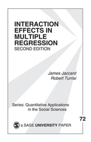 Cover of the book Interaction Effects in Multiple Regression by Jim Blythe