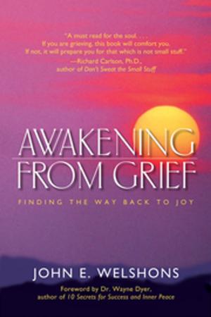 Cover of the book Awakening From Grief by Eric Maisel