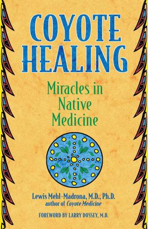 Cover of the book Coyote Healing by David H. Leake