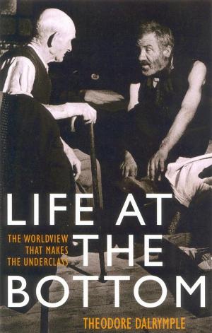 Cover of the book Life at the Bottom by Athan Theoharis