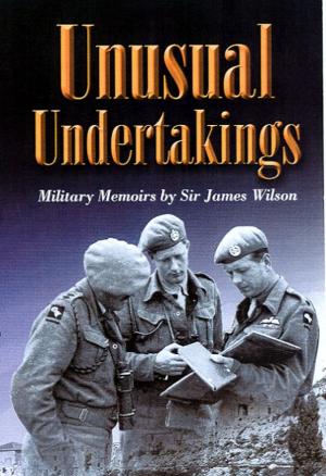 Cover of the book Unusual Undertakings by Robert Hirzer