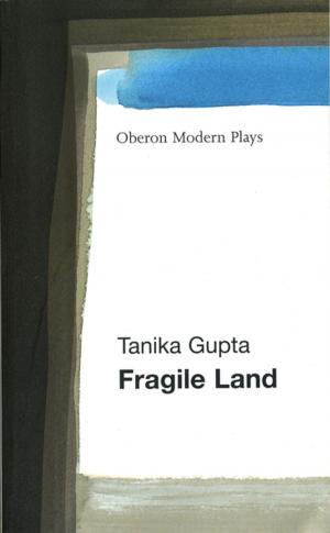 Cover of the book Fragile Land by Kieran Lynn