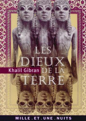 Cover of the book Les Dieux de la terre by Frédéric Lenormand