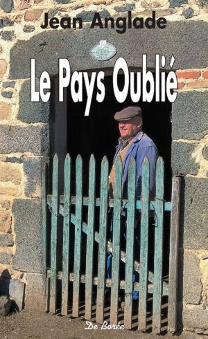 Cover of the book Le Pays oublié by Michel Verrier