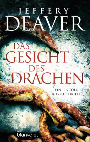 Cover of the book Das Gesicht des Drachen by Andreas Gruber