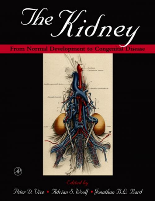 Cover of the book The Kidney by , Elsevier Science